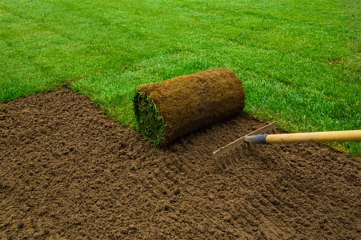 Fresh sod rolls being laid over graded soil next to an established green lawn